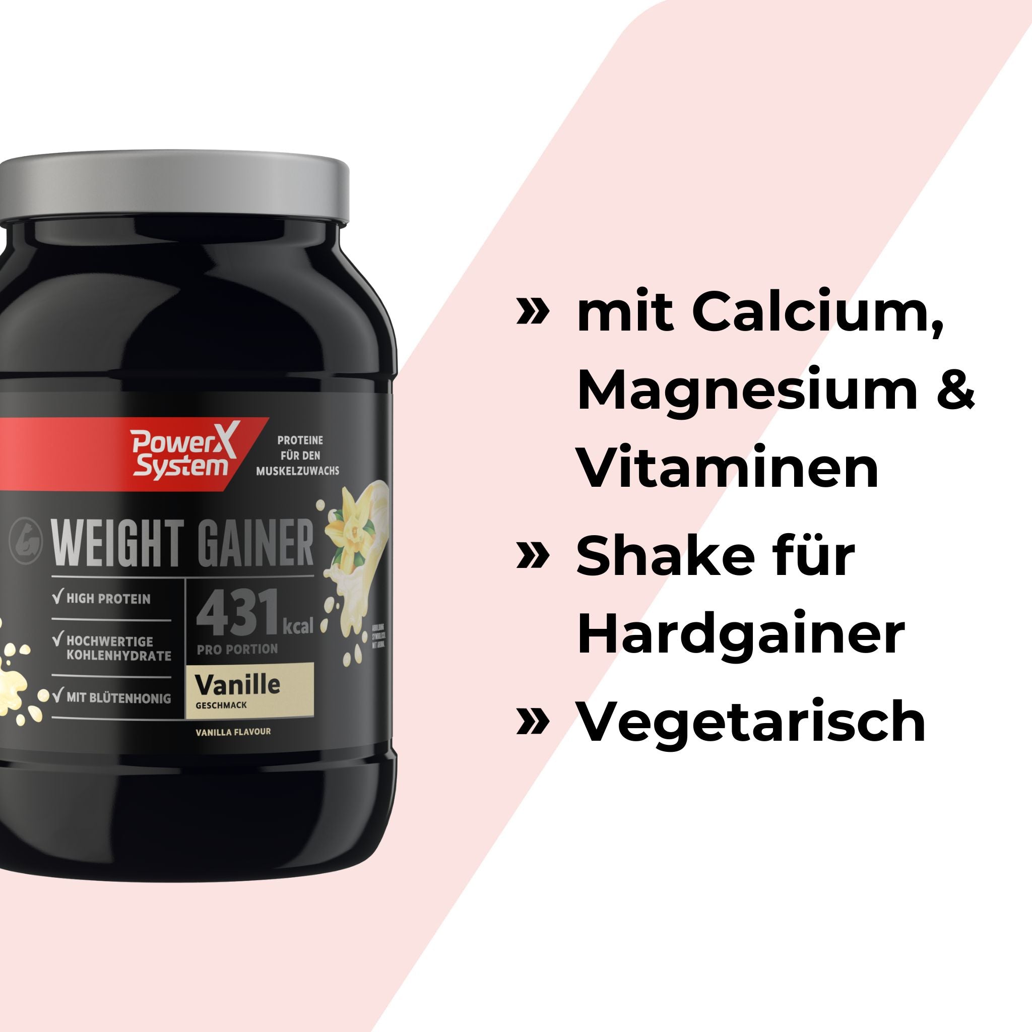Weight Gainer - 1000g
