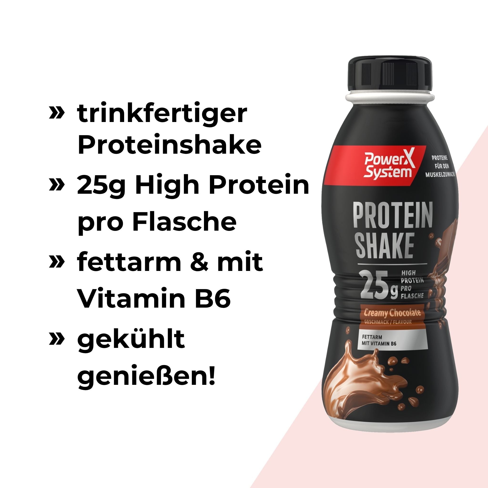 Protein Shake trinkfertig, 25g High Protein pro Flasche, fettarm mit Vitamin B6