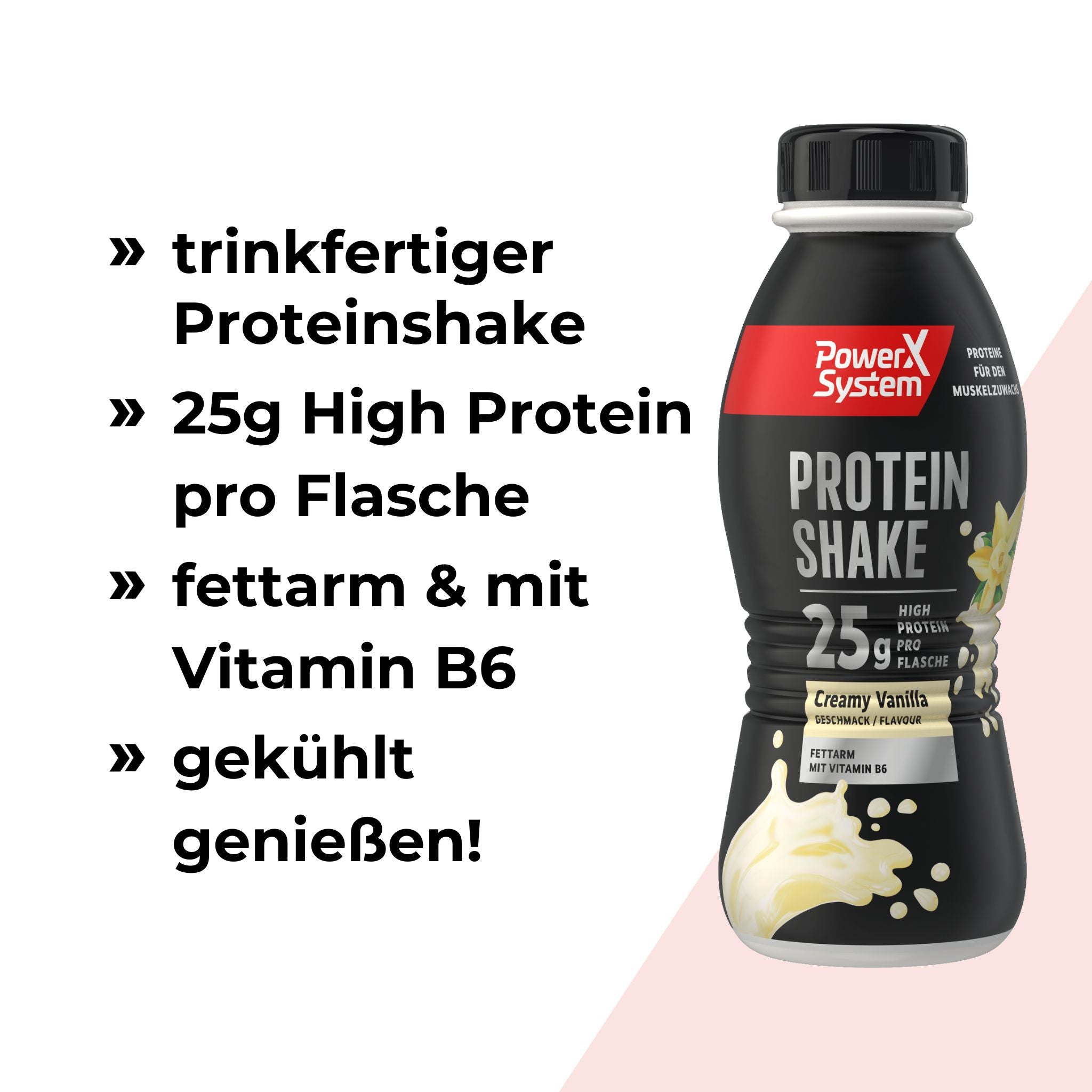 Protein Shake trinkfertig, 25g High Protein pro Flasche, fettarm mit Vitamin B6