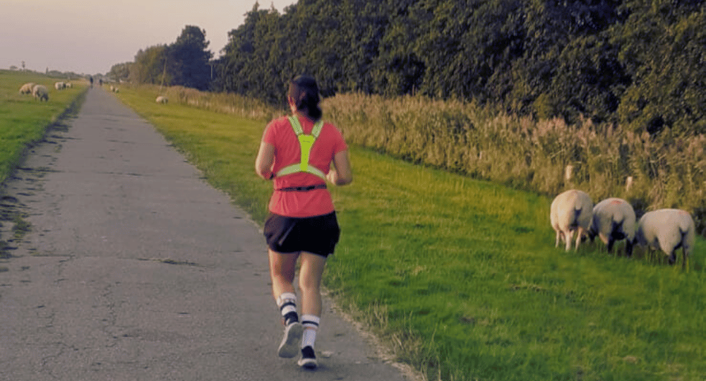 Janike und Schafe beim Sunset Wattenmeer Lauf