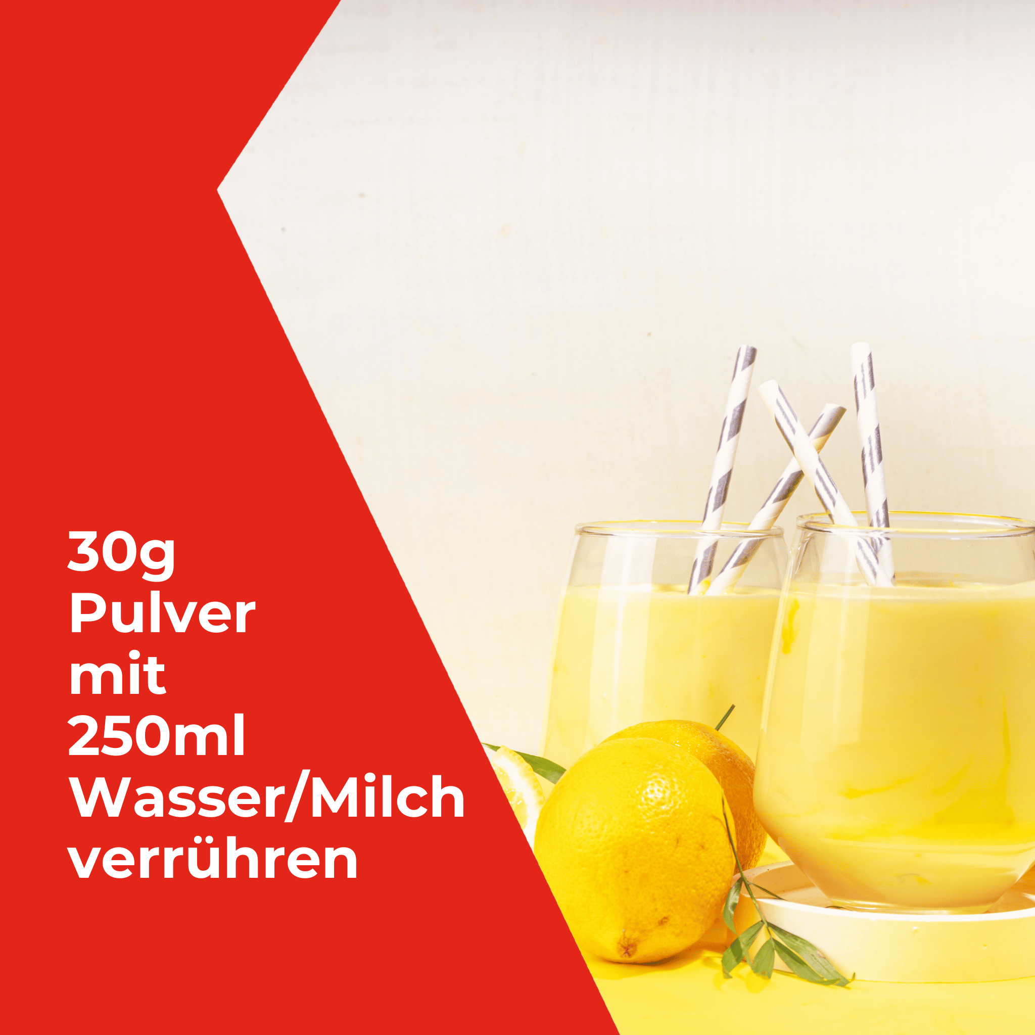 Whey Protein Pulver - 1000g